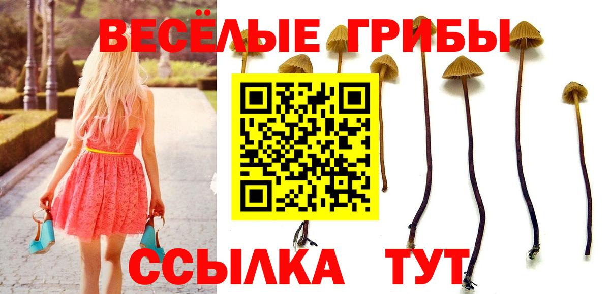 продажа наркотиков  Псилоцибиновые грибы прущие грибы  Вход с VPN  Анжеро-Судженск 